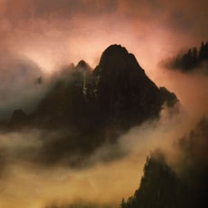Elegy (Double Vinyl)