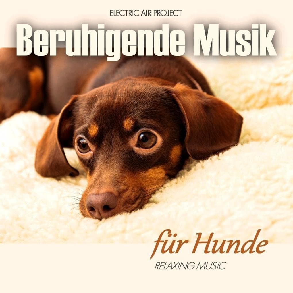 Beruhigende Musik Für Hunde,1 Audio-CD
