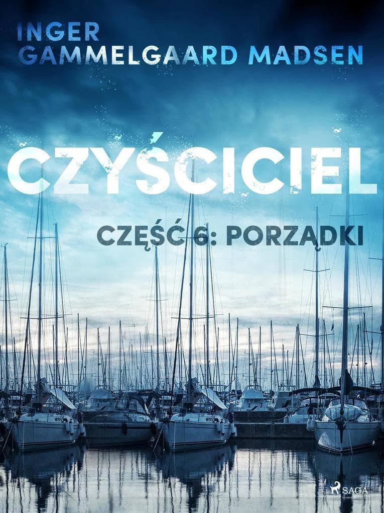 Czysciciel 6: Porzadki