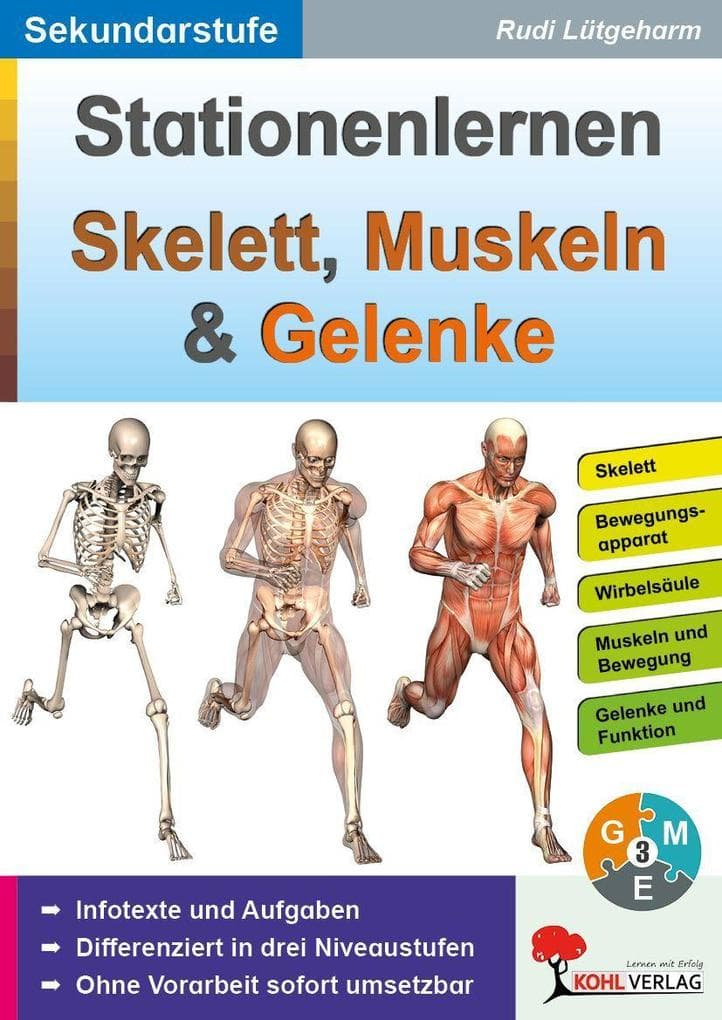 Stationenlernen Skelette, Muskeln & Gelenke