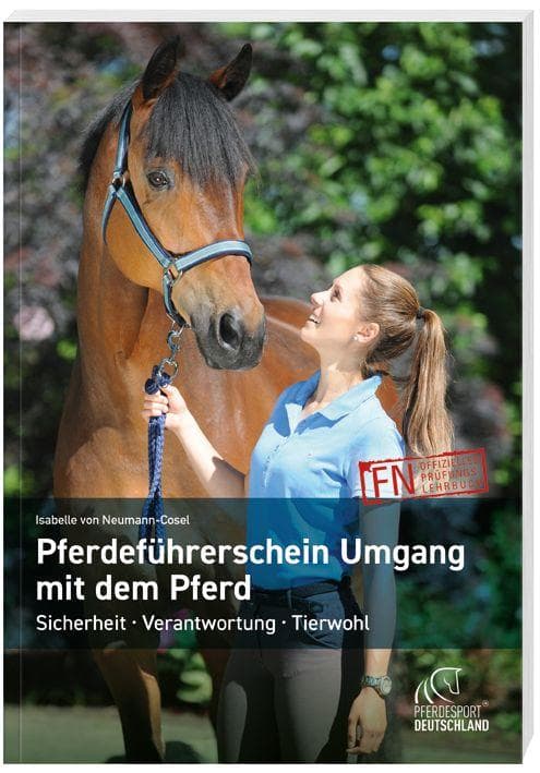 Pferdeführerschein Umgang mit dem Pferd