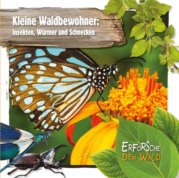 Kleine Waldbewohner: Insekten, Würmer und Schnecken