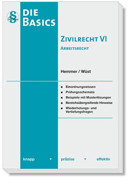 Die Basics Zivilrecht VI - Arbeitsrecht