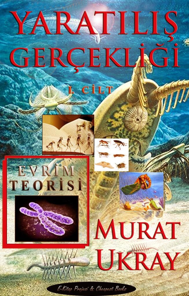 Yaratilis Gerçekligi-I