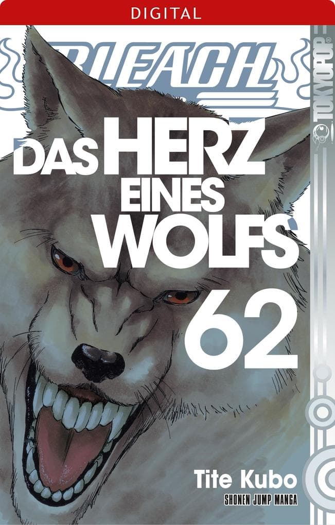 Bleach 62
