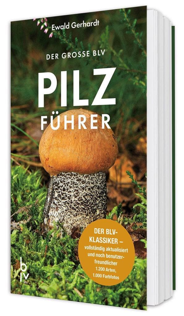 Der große BLV Pilzführer