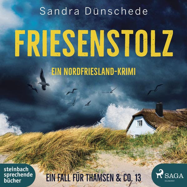 Friesenstolz,1 Audio-CD, 1 MP3