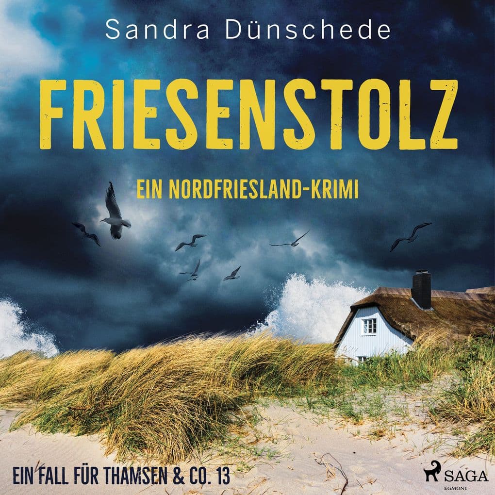 Friesenstolz: Ein NordfrieslandKrimi (Ein Fall für Thamsen & Co. 13)