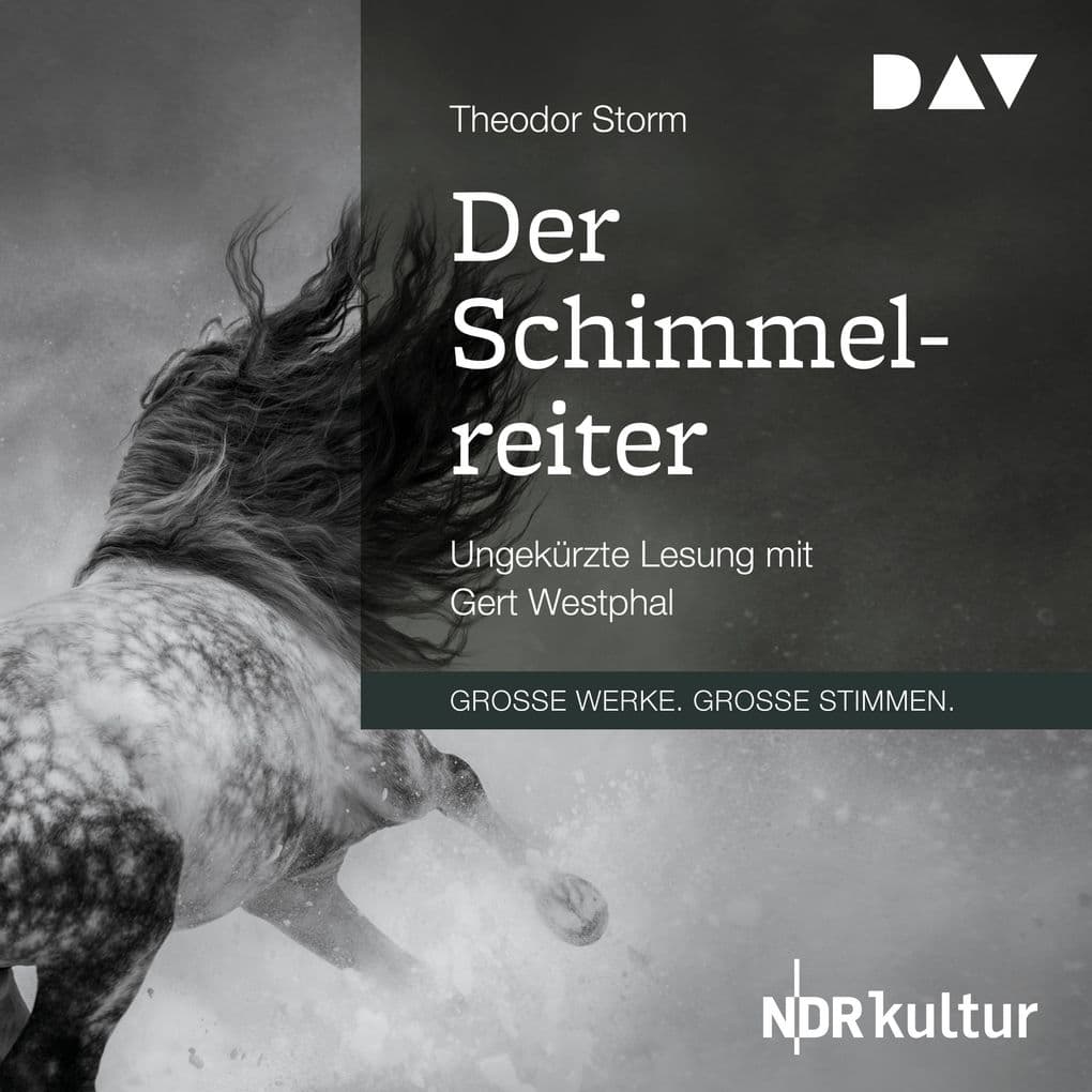 Der Schimmelreiter