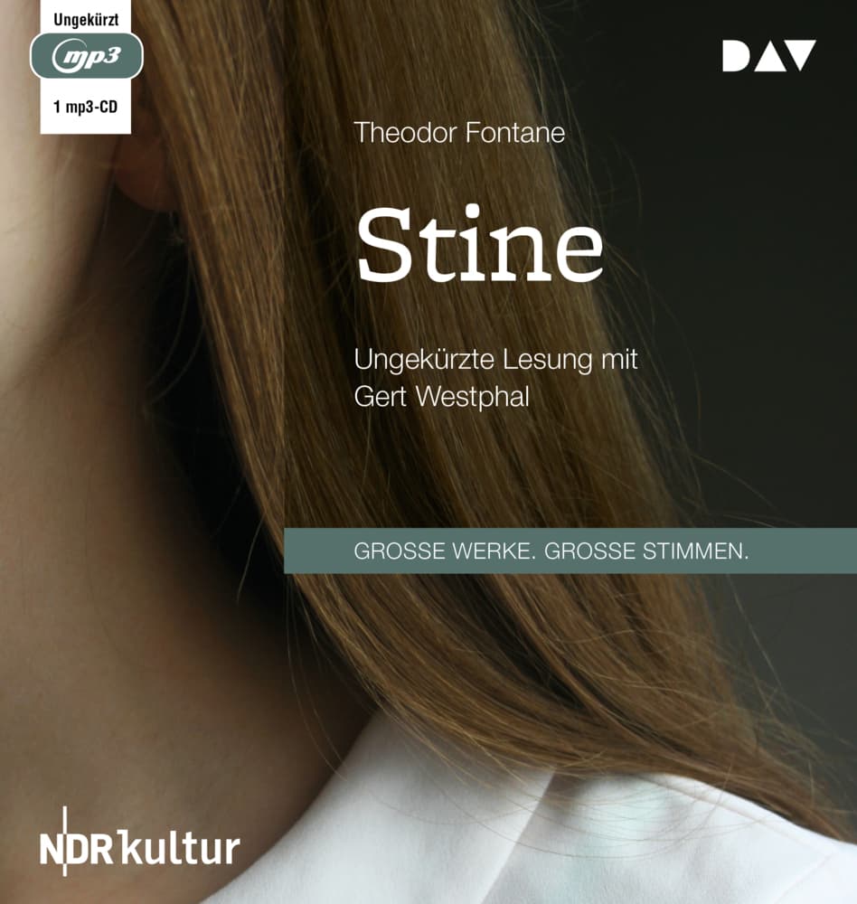 Stine,1 Audio-CD, 1 MP3