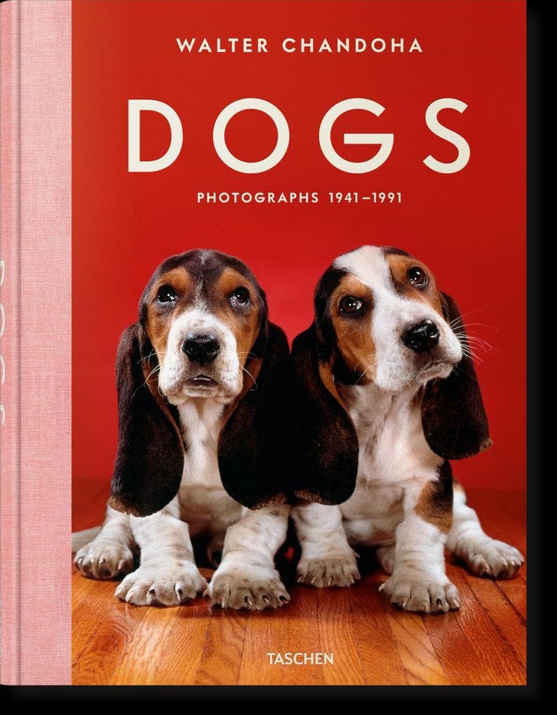 Walter Chandoha. Dogs. Photographs 1941-1991