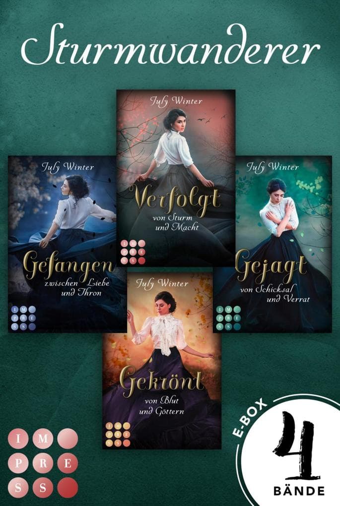 Sturmwanderer: 4 Bände in einem Bundle!