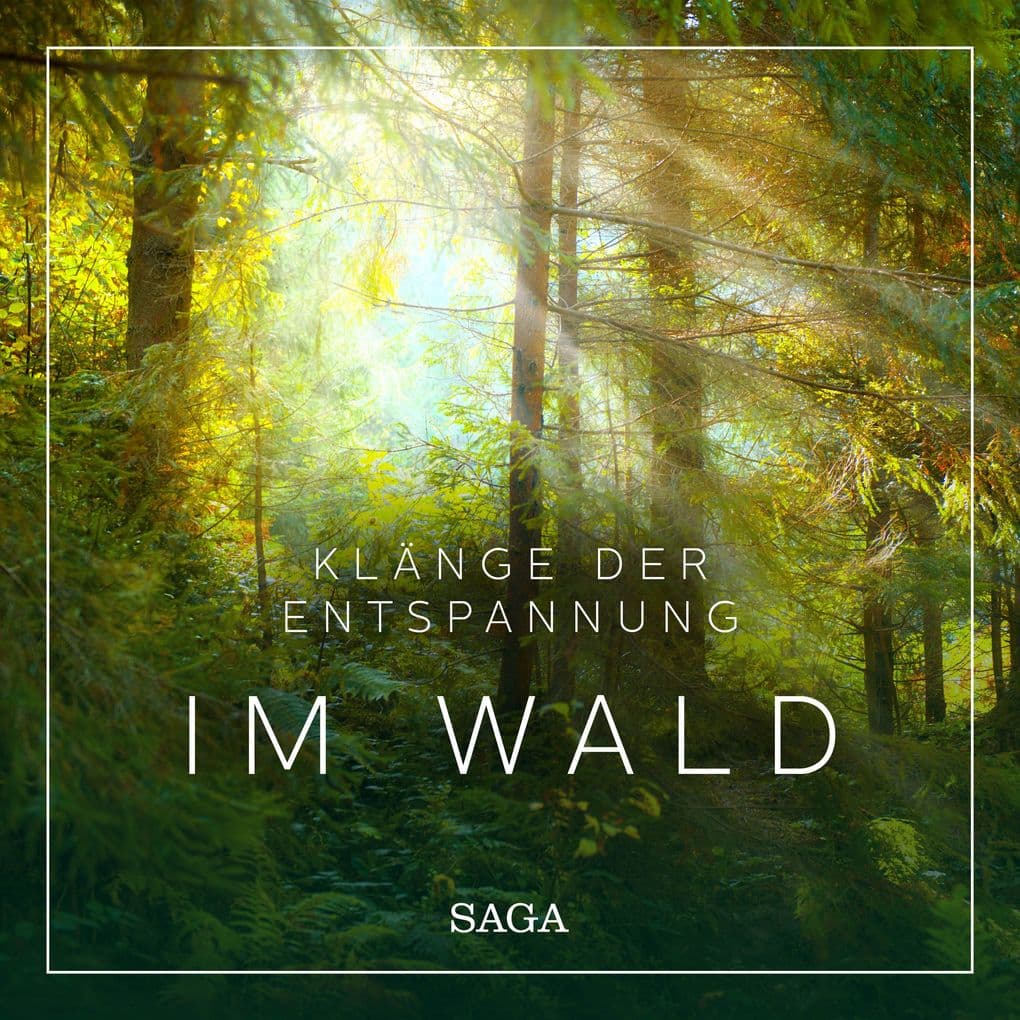 Klänge der Entspannung - Im Wald