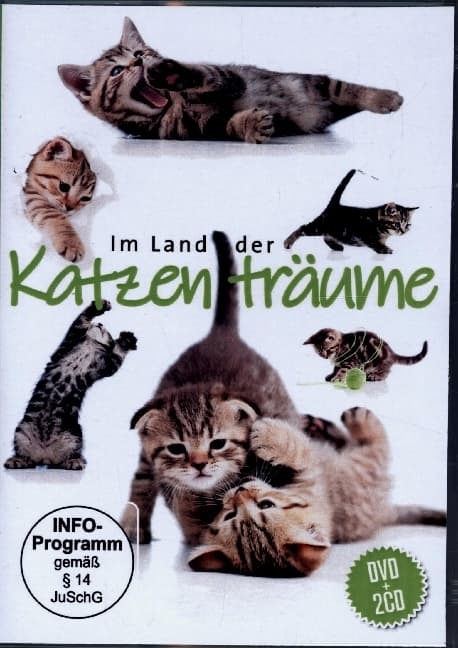 Im Land der Katzenträume