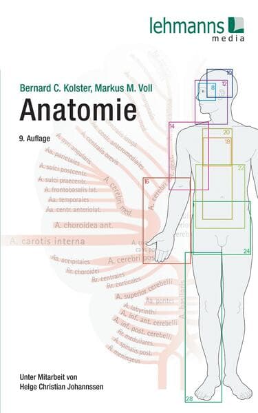 Anatomie