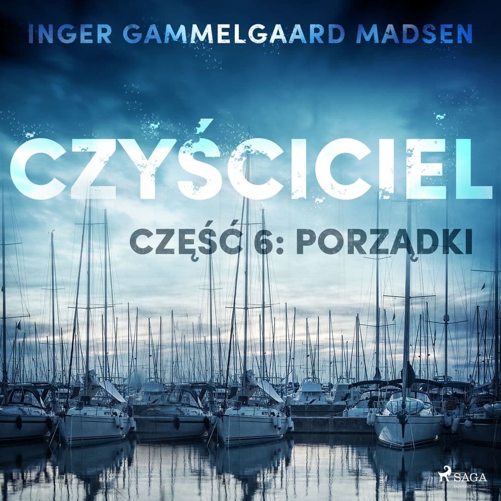 Czyciciel 6: Porzdki