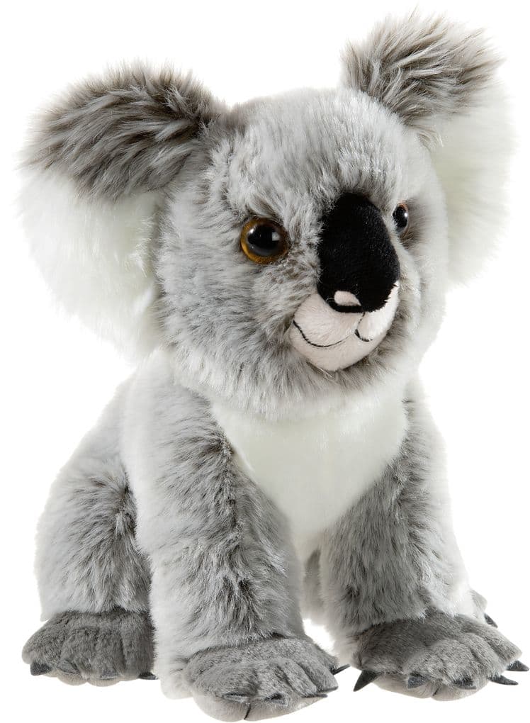 Heunec - Bedrohte Tiere - Koala