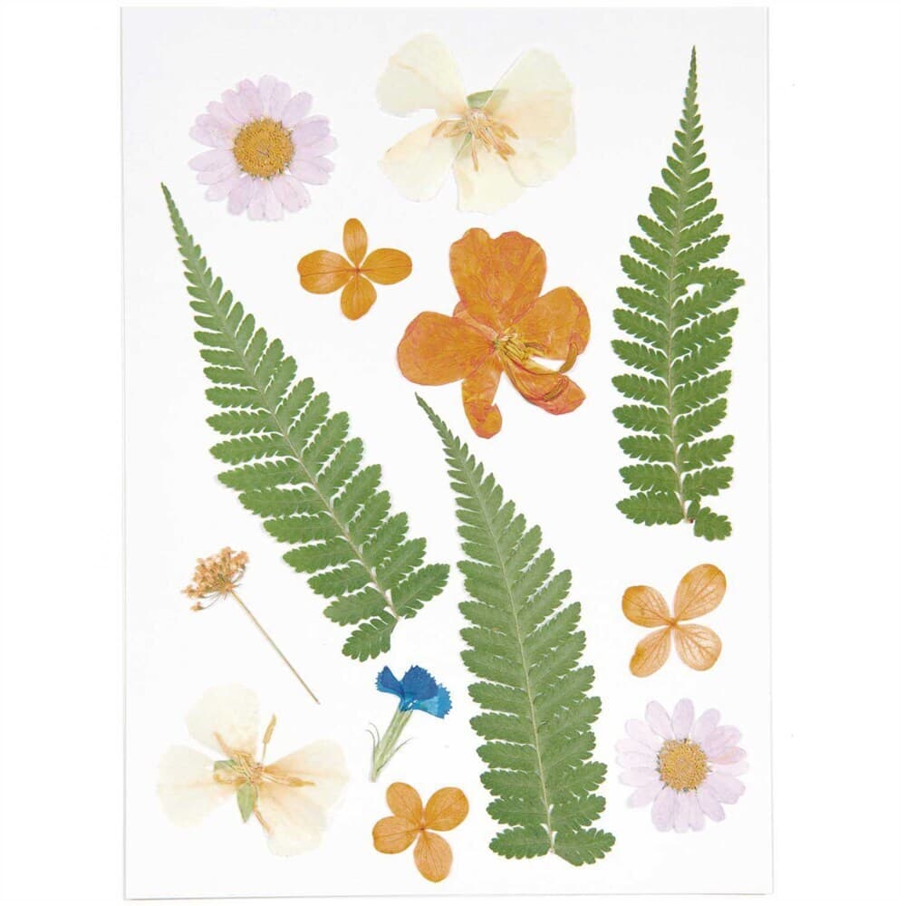 Gepresste Blüten, Mix Set violett orange, 13 Stk