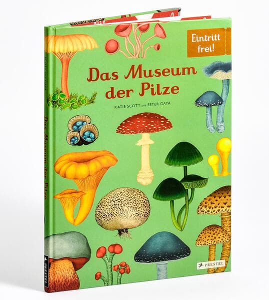 Das Museum der Pilze