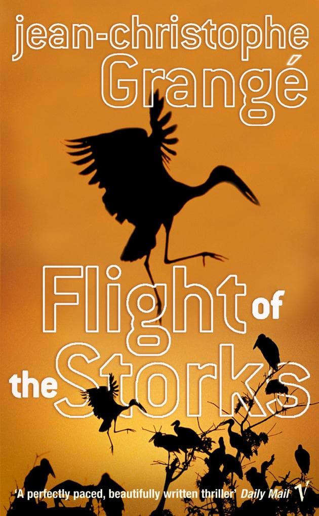 Flight Of The Storks