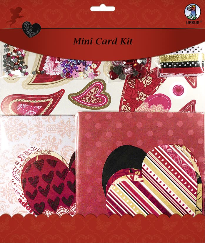 URSUS Mini Card Kit