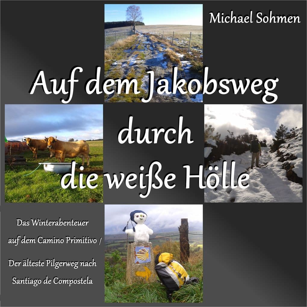 Auf dem Jakobsweg durch die weiße Hölle