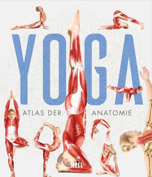 YOGA - Atlas der Anatomie