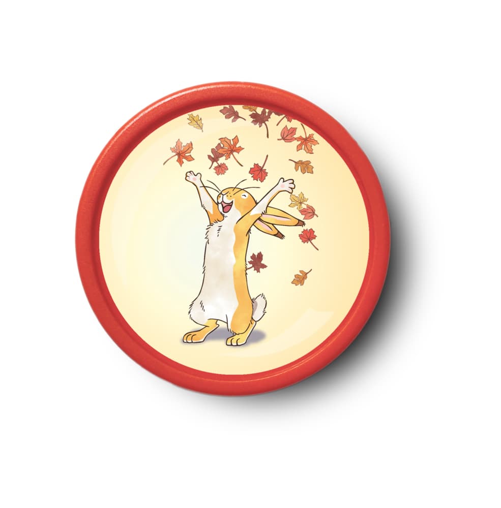 Weißt Du eigentlich, wie lieb ich dich hab? - Fliegen wie ein Vogel,1 Audio-Chip