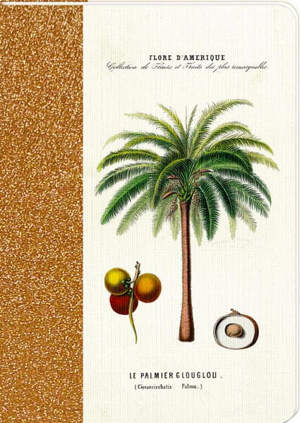 Coppenrath - Sammlung Augustina - Notizhefte DIN A6, sort.