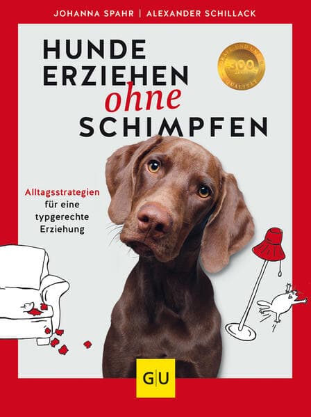 Hunde erziehen ohne Schimpfen