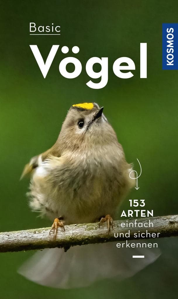 BASIC Vögel