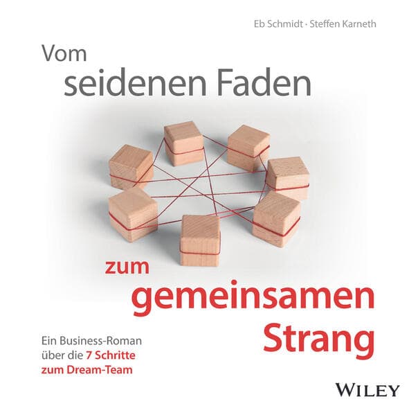 Vom seidenen Faden zum gemeinsamen Strang: Ein Business-Roman über die 7 Schritte zum Dream-Team,Audio-CD
