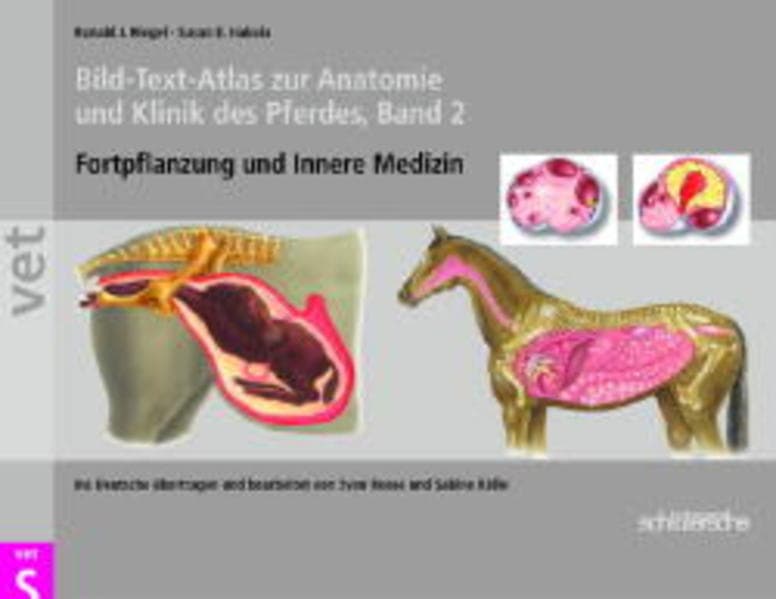 Bild-Text-Atlas zur Anatomie und Klinik des Pferdes.Bd.2