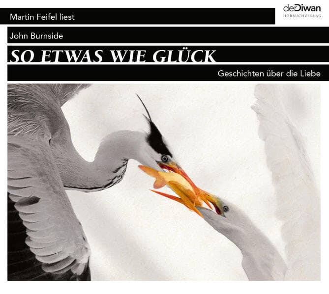 So etwas wie Glück,1 Audio-CD