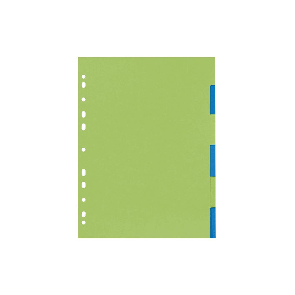 Herlitz Kartonregister A4 6eilig GREENline