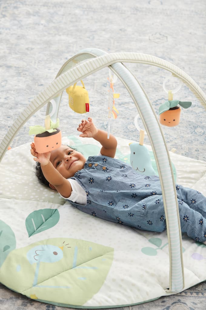 Skip Hop - Spielbogen Gartenoase