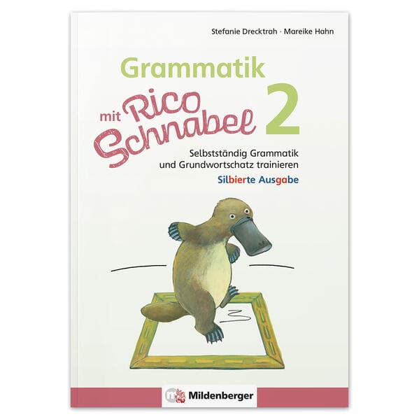 Grammatik mit Rico Schnabel, Klasse 2 - silbierte Ausgabe