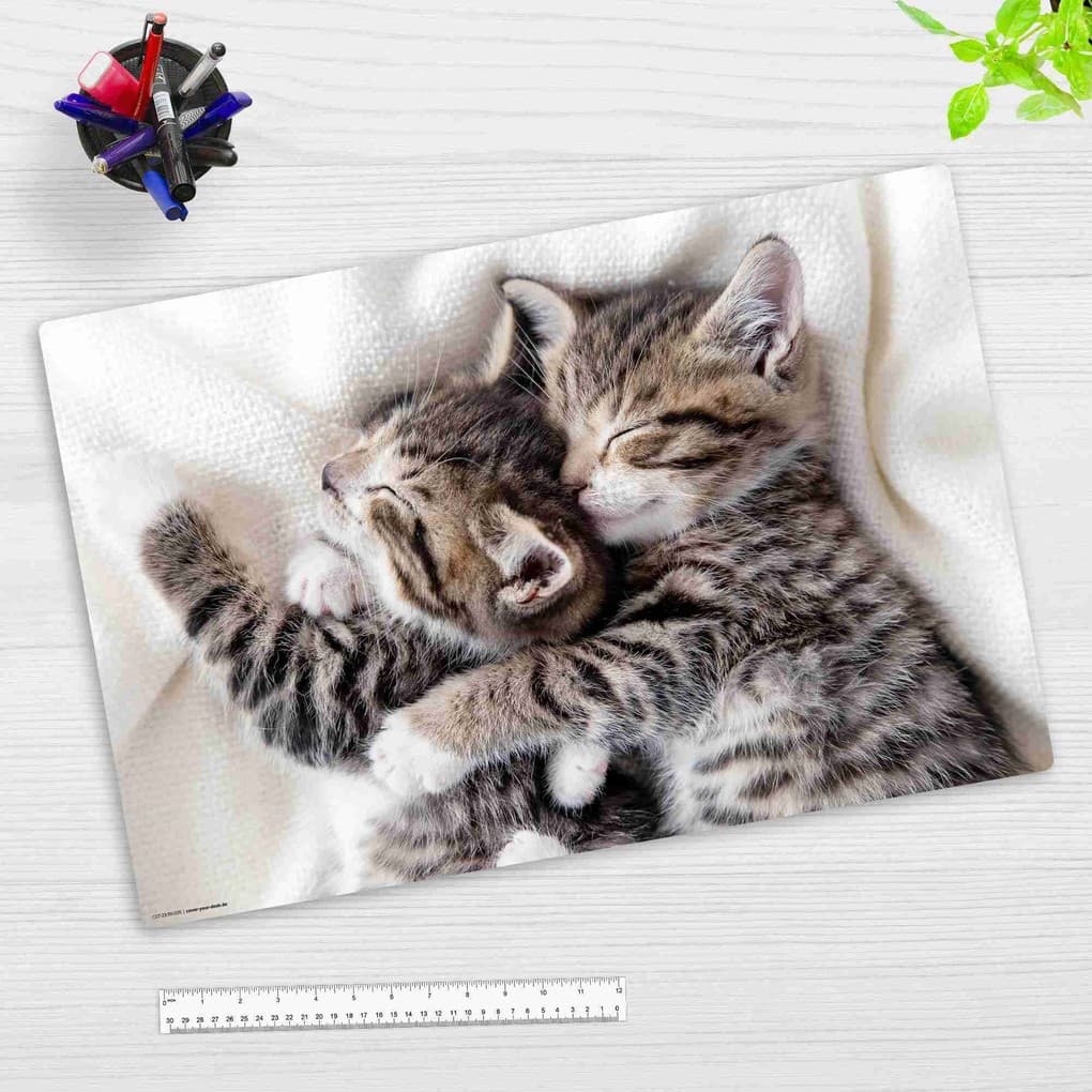 Cover-your-desk Schreibtischunterlage für Kinder schmusende Kätzchen, aus hochwertigem Vinyl , 60 x 40 cm