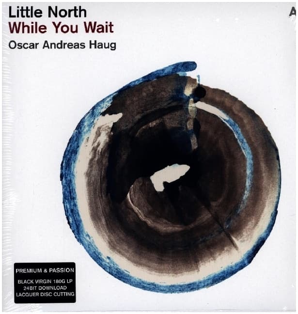 While You Wait,1 Schallplatte + Download (Black Vinyl)