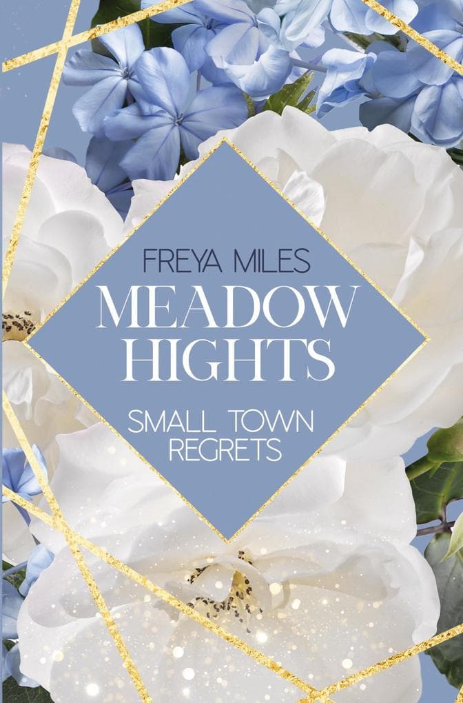 Meadow Hights: Small Town Regrets