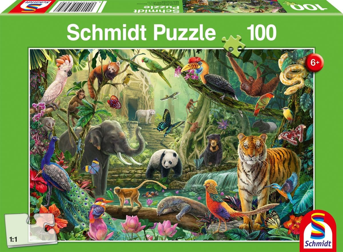 Bunte Tierwelt im Dschungel