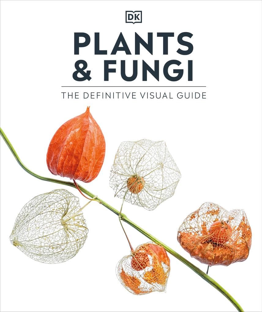 Plants and Fungi