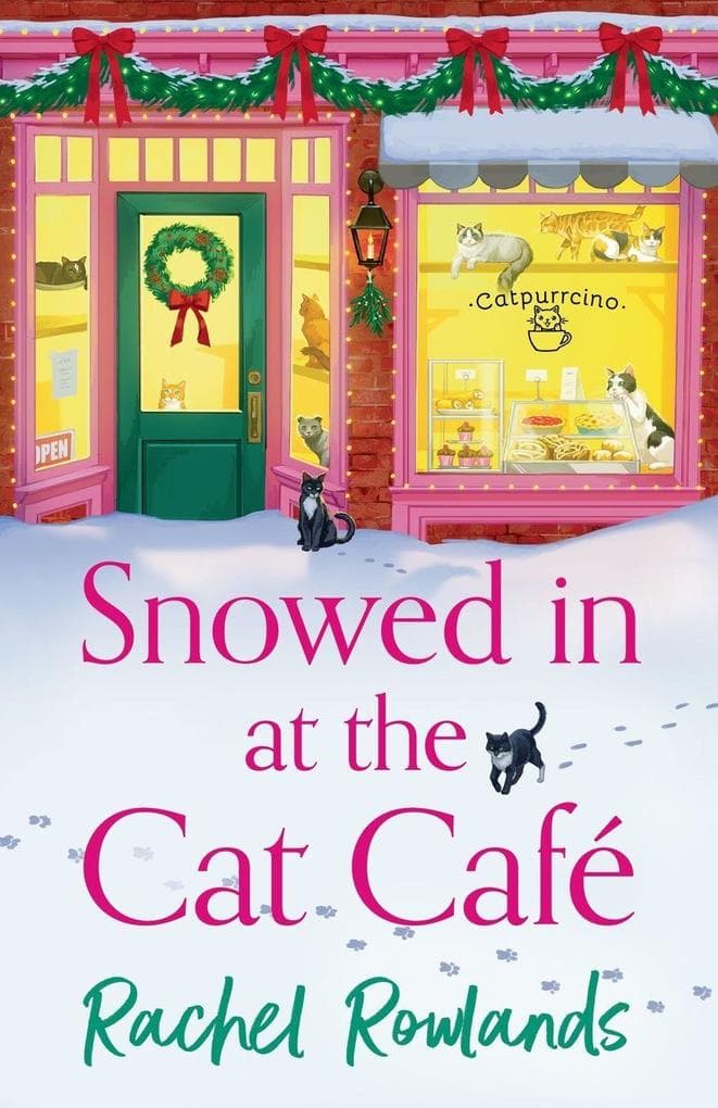 Snowed In at the Cat Cafe