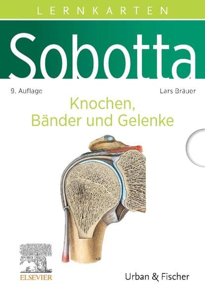 Sobotta Lernkarten Anatomie: Knochen, Bänder und Gelenke