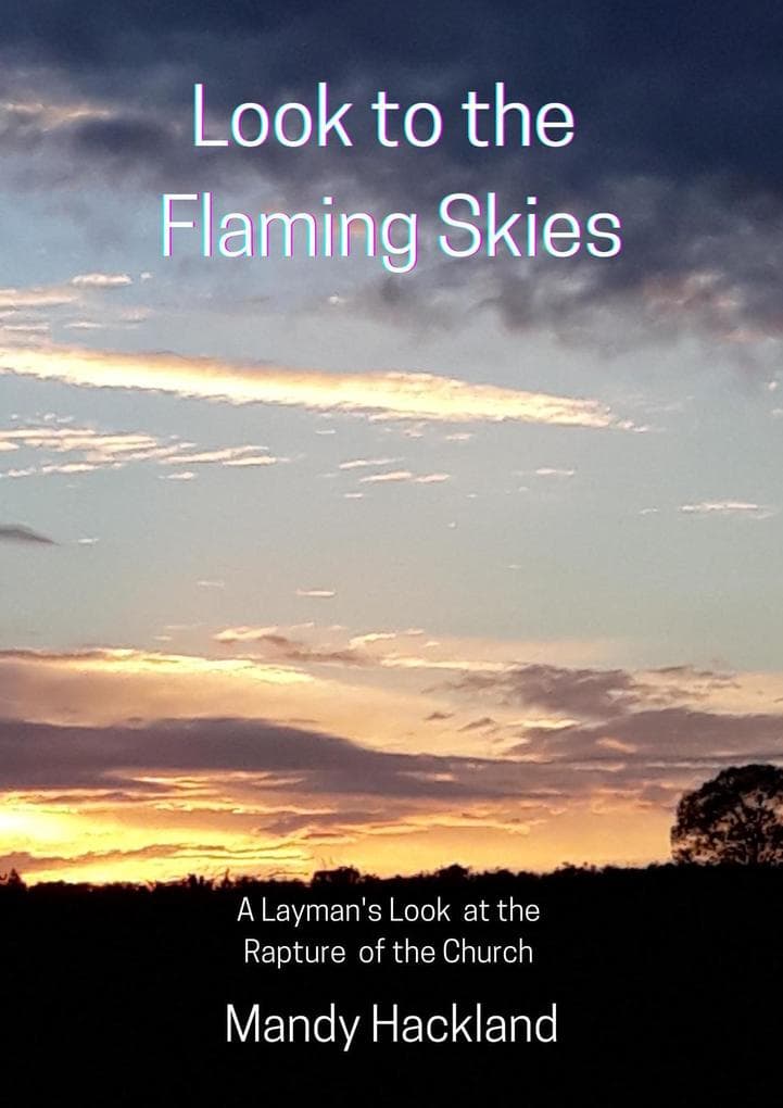 Look to the Flaming Skies (Choose Life!, #1)