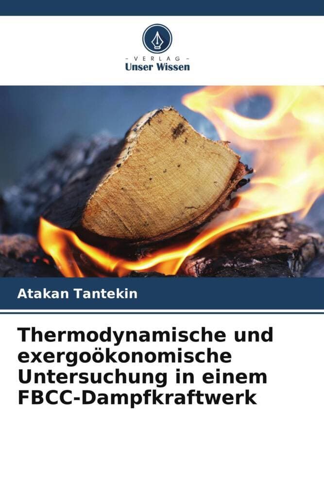 Thermodynamische und exergoökonomische Untersuchung in einem FBCC-Dampfkraftwerk