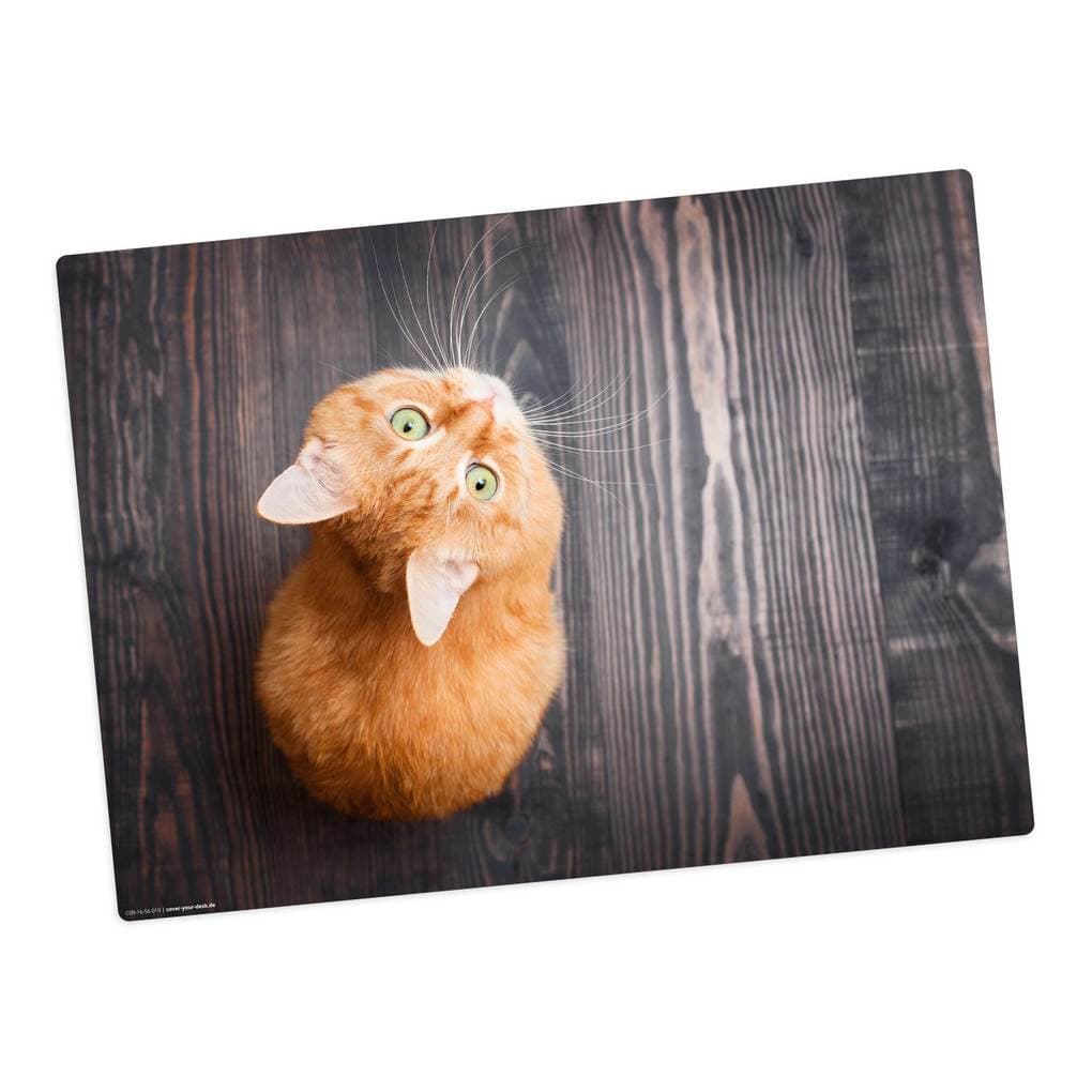 Tischsetmacher Tischset für Kinder Orange Katze, aus hochwertigem Vinyl , 44 x 32 cm