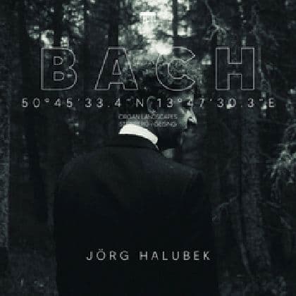 Bach:Organ Landscapes VIII (Steinberg,Geising)