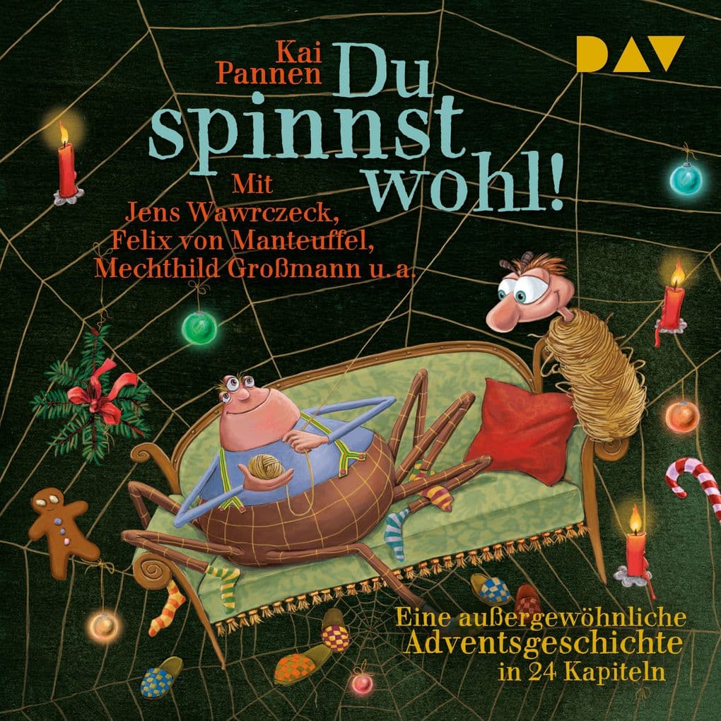 Du spinnst wohl! Eine außergewöhnliche Adventsgeschichte in 24 Kapiteln