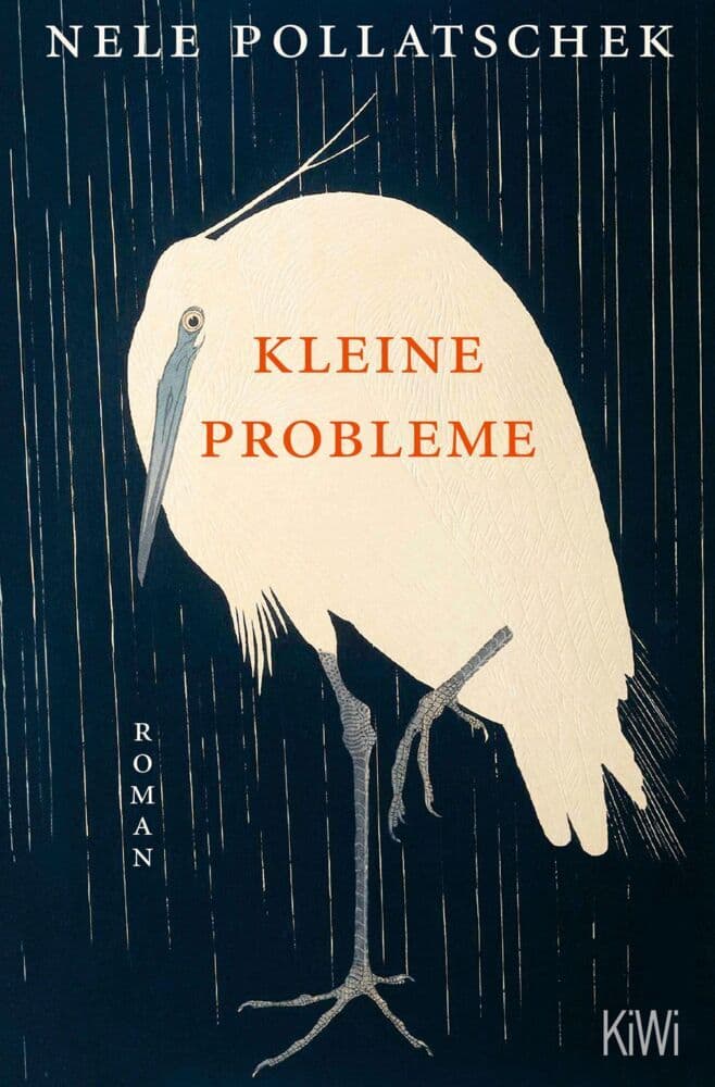 9. Nele Pollatschek: Kleine Probleme